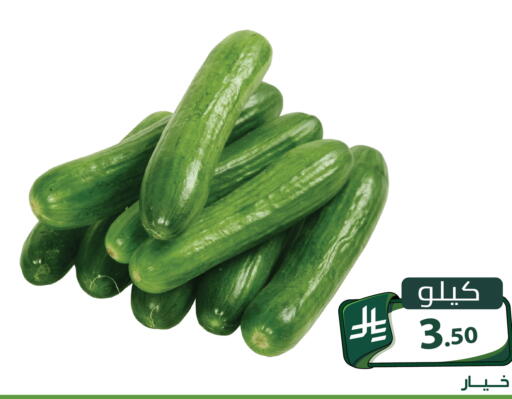 متوفر لدى تخفيضات العائلة في مملكة العربية السعودية, السعودية, سعودية - الرياض