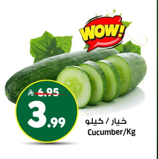 Cucumber متوفر لدى المدينة هايبرماركت في مملكة العربية السعودية, السعودية, سعودية - الرياض