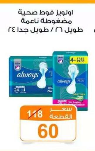 available at Gomla Market in Egypt - Cairo