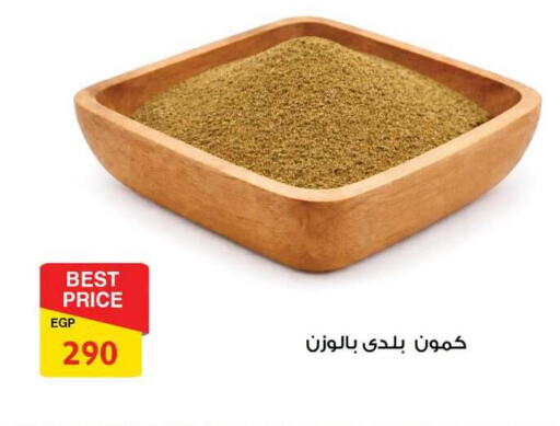 available at فتح الله in Egypt - القاهرة