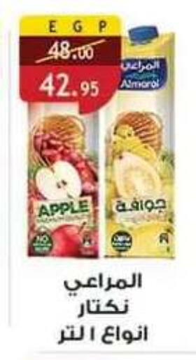 Apple available at Al Rayah Market   in Egypt - Cairo