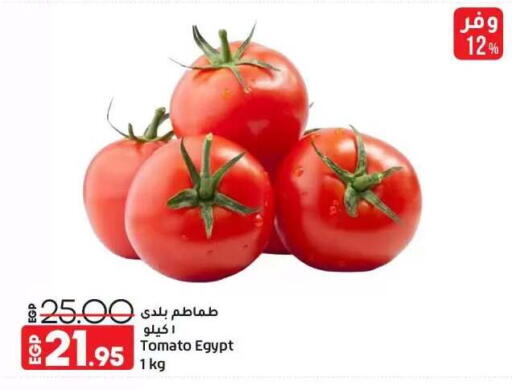 Tomato from Egypt available at Lulu Hypermarket  in Egypt - Cairo