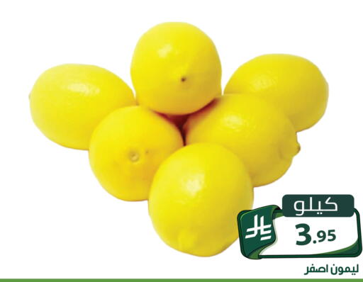 متوفر لدى تخفيضات العائلة في مملكة العربية السعودية, السعودية, سعودية - الرياض