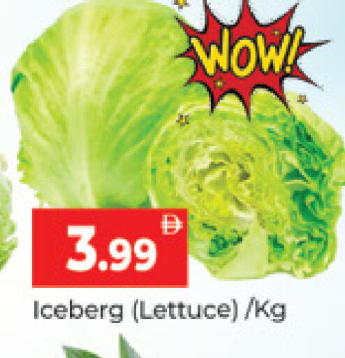 Lettuce متوفر لدى المدينة في الإمارات العربية المتحدة , الامارات - دبي