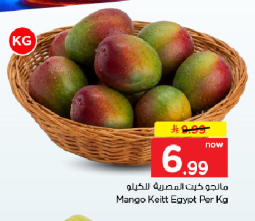 Mango من Egypt متوفر لدى هايبر الوفاء في مملكة العربية السعودية, السعودية, سعودية - المنطقة الشرقية
