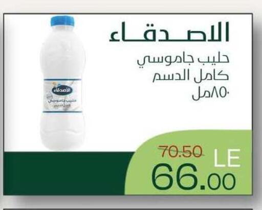 available at Royal House in Egypt - Cairo