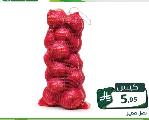 متوفر لدى تخفيضات العائلة في مملكة العربية السعودية, السعودية, سعودية - الرياض