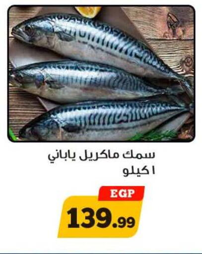 available at أولاد رجب in Egypt - القاهرة