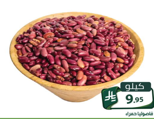 available at Family Discount in KSA, Saudi Arabia, Saudi - Riyadh