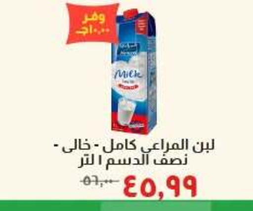available at Kheir Zaman  in Egypt - Cairo