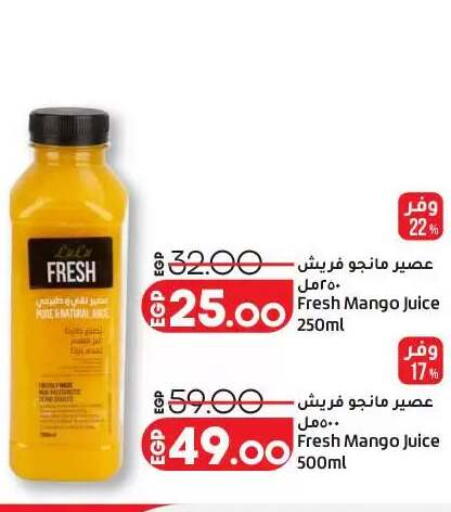 Mango available at Lulu Hypermarket  in Egypt - Cairo