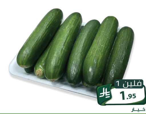 متوفر لدى تخفيضات العائلة في مملكة العربية السعودية, السعودية, سعودية - الرياض