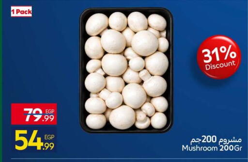 Mushroom available at Carrefour  in Egypt - Cairo