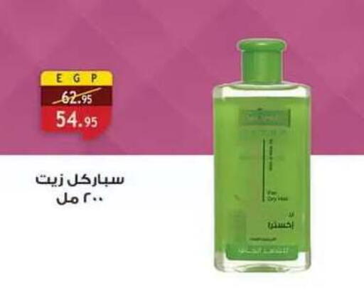 available at الرايه  ماركت in Egypt - القاهرة