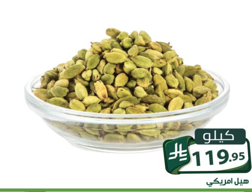 available at Family Discount in KSA, Saudi Arabia, Saudi - Riyadh