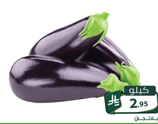 متوفر لدى تخفيضات العائلة في مملكة العربية السعودية, السعودية, سعودية - الرياض