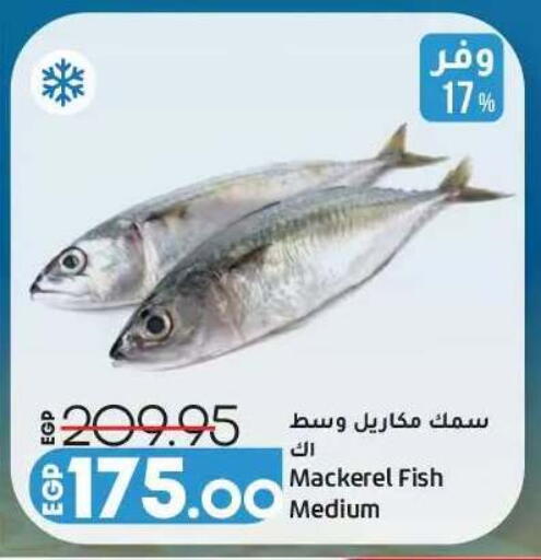 available at Lulu Hypermarket  in Egypt - Cairo