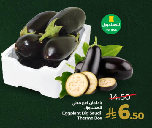 Eggplant from Saudi Arabia available at LULU Hypermarket in KSA, Saudi Arabia, Saudi - Saihat