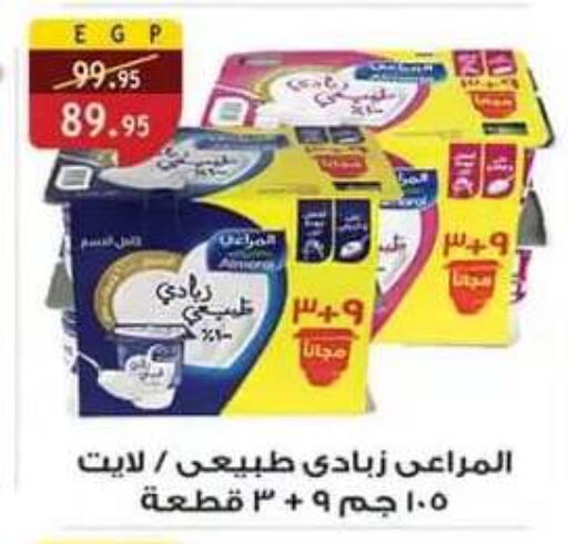available at Al Rayah Market   in Egypt - Cairo