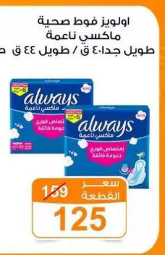 available at Gomla Market in Egypt - Cairo