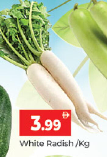 Radish متوفر لدى المدينة في الإمارات العربية المتحدة , الامارات - دبي