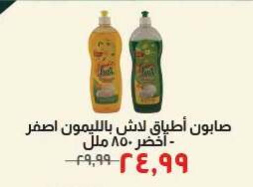 available at Kheir Zaman  in Egypt - Cairo