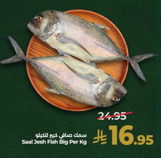 available at لولو هايبرماركت in مملكة العربية السعودية, السعودية, سعودية - الخرج