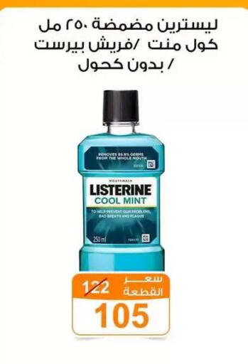 Mint available at Gomla Market in Egypt - Cairo