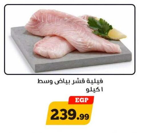 available at أولاد رجب in Egypt - القاهرة