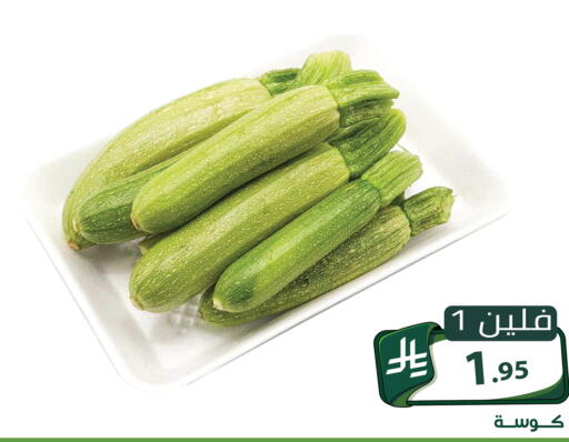 متوفر لدى تخفيضات العائلة في مملكة العربية السعودية, السعودية, سعودية - الرياض