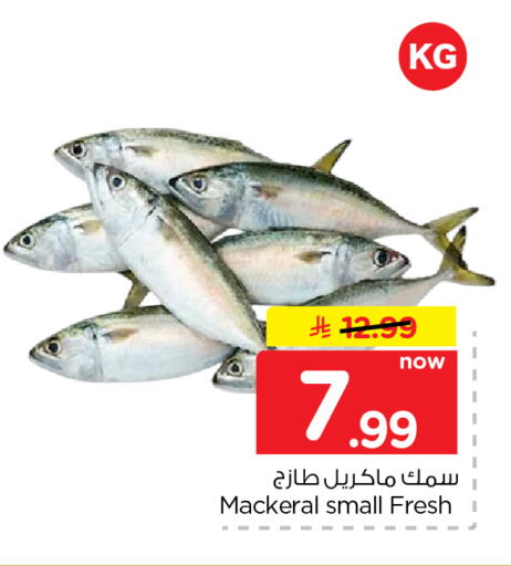 متوفر لدى نستو في مملكة العربية السعودية, السعودية, سعودية - الرياض