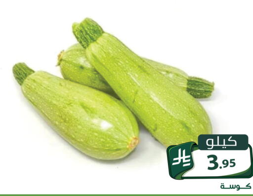 متوفر لدى تخفيضات العائلة في مملكة العربية السعودية, السعودية, سعودية - الرياض