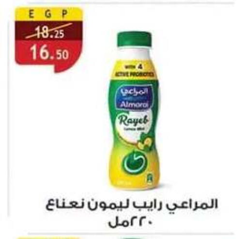 متوفر لدى الرايه  ماركت في Egypt - القاهرة