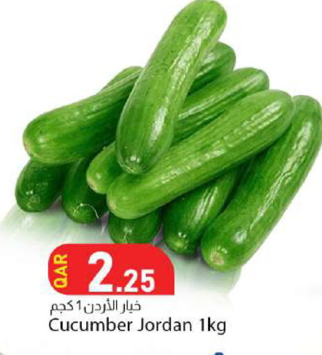 Cucumber from Jordan available at دانا ماركت in قطر - أم صلال