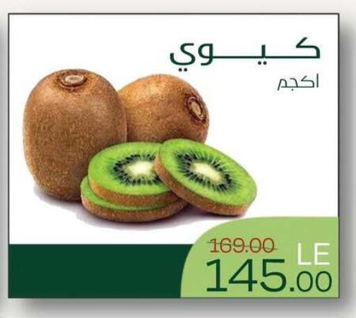 متوفر لدى رويال هاوس في Egypt - القاهرة