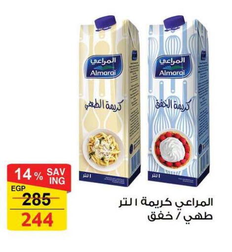 available at فتح الله in Egypt - القاهرة