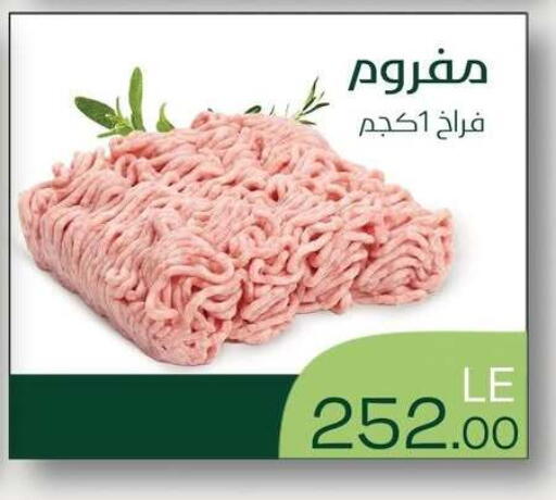 available at Royal House in Egypt - Cairo