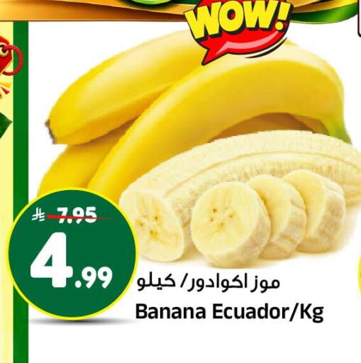 Banana من Ecuador متوفر لدى المدينة هايبرماركت في مملكة العربية السعودية, السعودية, سعودية - الرياض