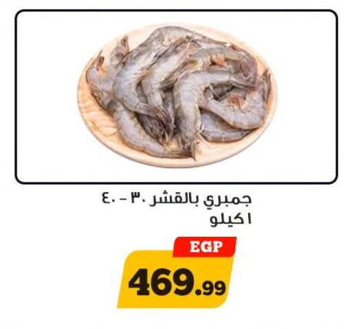 available at أولاد رجب in Egypt - القاهرة