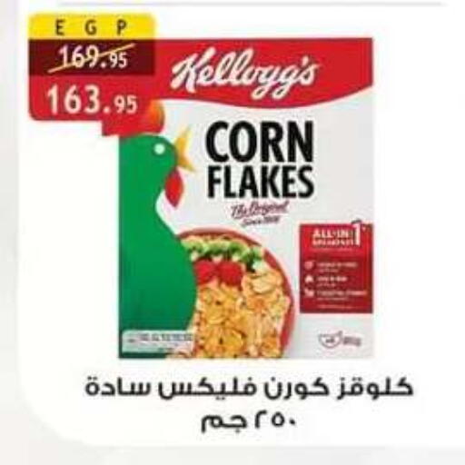 متوفر لدى الرايه  ماركت في Egypt - القاهرة