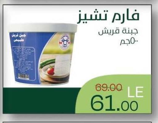 متوفر لدى رويال هاوس في Egypt - القاهرة