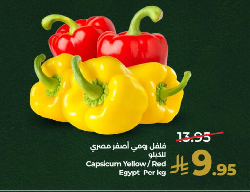Capsicum from Egypt available at LULU Hypermarket in KSA, Saudi Arabia, Saudi - Saihat