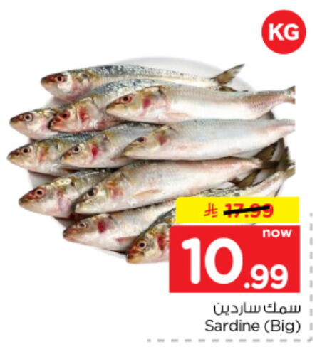 available at نستو in مملكة العربية السعودية, السعودية, سعودية - الخرج