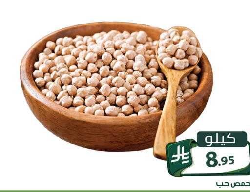 available at Family Discount in KSA, Saudi Arabia, Saudi - Riyadh