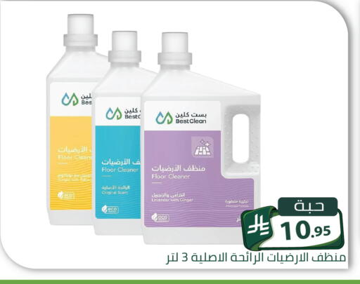 Ginger متوفر لدى تخفيضات العائلة في مملكة العربية السعودية, السعودية, سعودية - الرياض