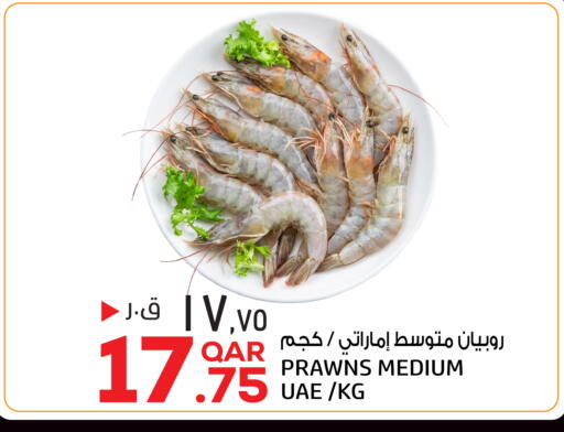 متوفر لدى السعودية في قطر - الخور