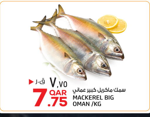 متوفر لدى السعودية في قطر - الخور