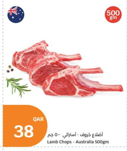 متوفر لدى سيتي هايبرماركت في قطر - أم صلال
