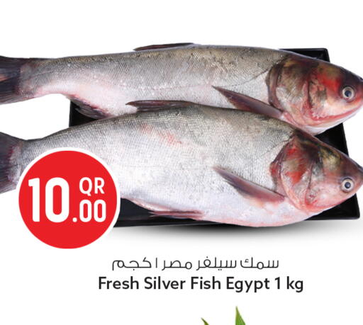 available at سفاري هايبر ماركت in قطر - الدوحة