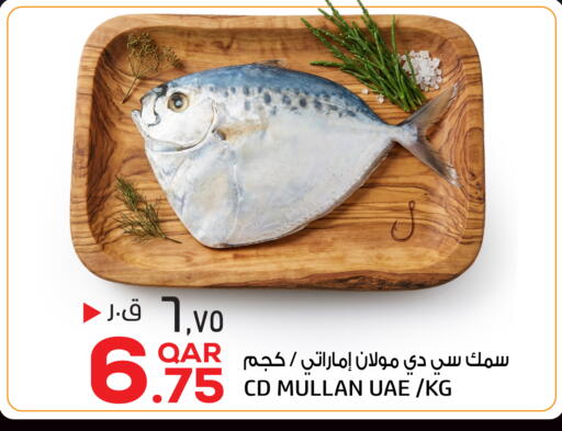 متوفر لدى السعودية في قطر - الخور